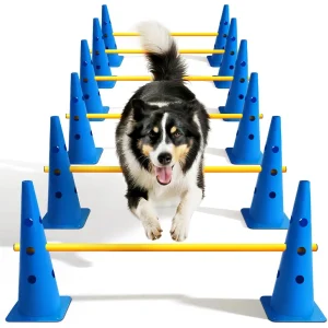 Dog Agility Hurdle Cone Set Canine Agility Training Equipment 6 Set